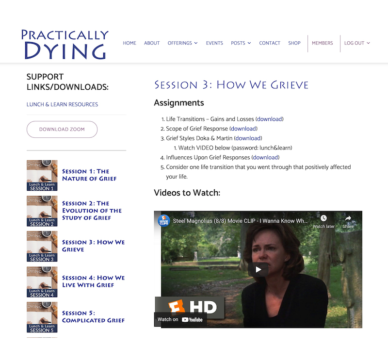 Professional online learning solutions with Practically Dying - Master class solutions by DesignInk Digital