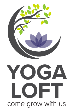 Yoga Loft Boulder - Custom Web Development by Designink Digital, Boulder CO