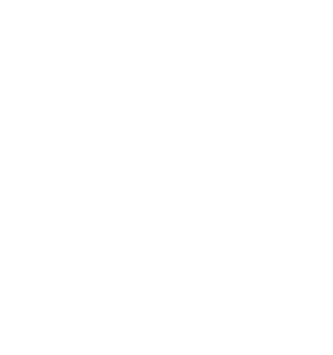 Sub Culture Denver Sub Shop