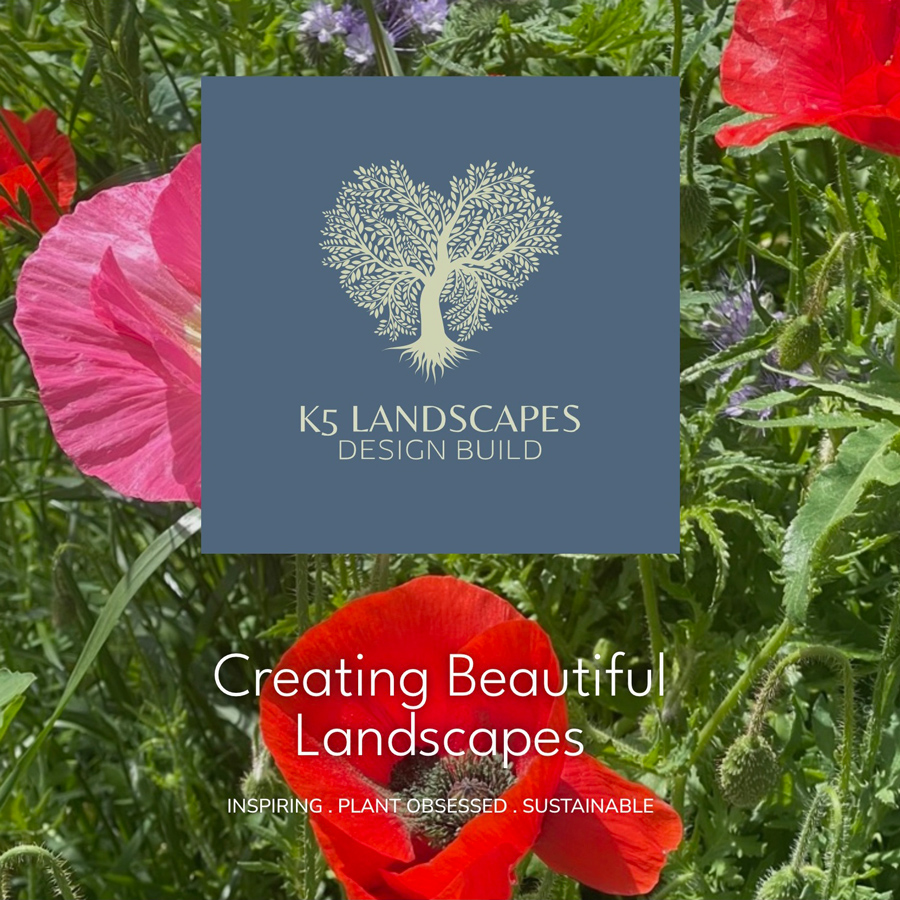 K5-Poppies